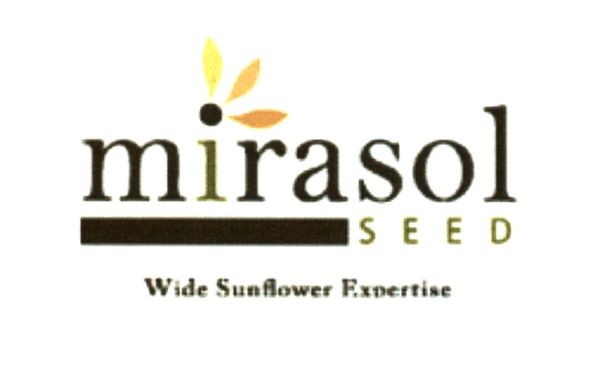 wide sunflower expertise