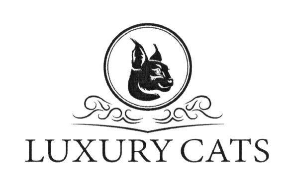 luxury cats