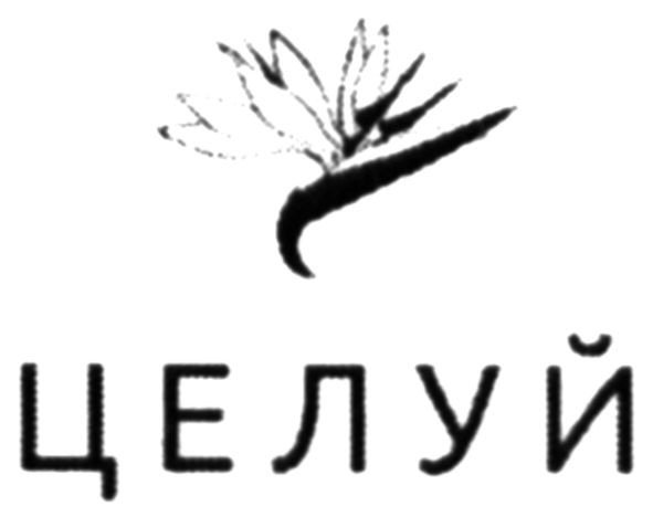 целуй
