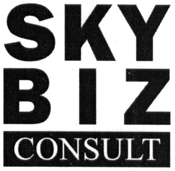 sky biz consult