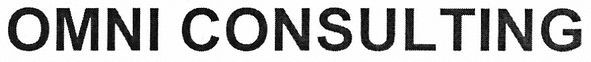 omni consulting