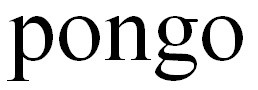 pongo