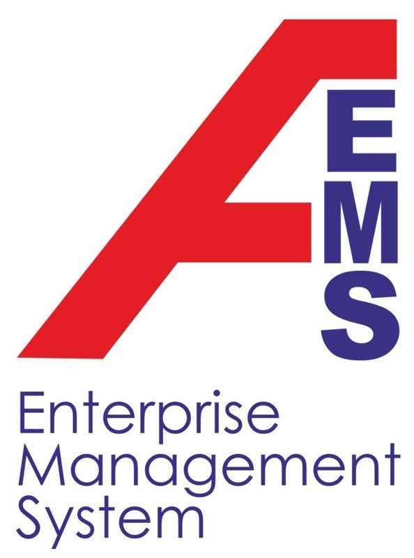 enterprise management sistem