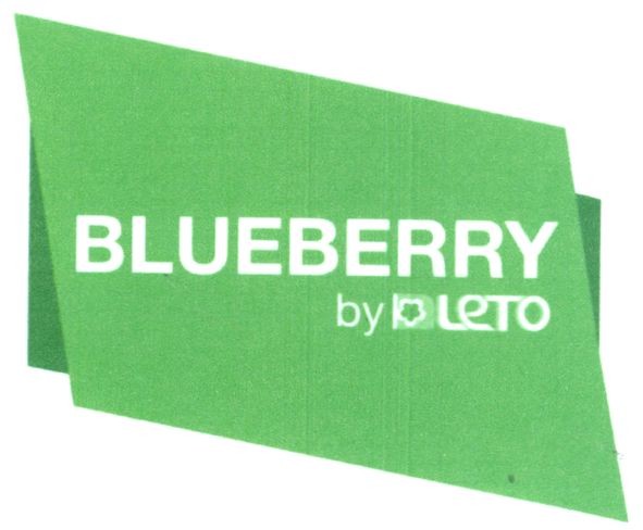 blueberry by i leto
