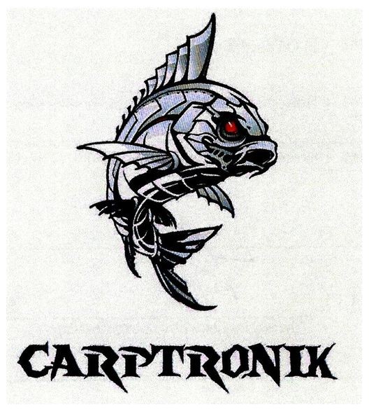 carptronik