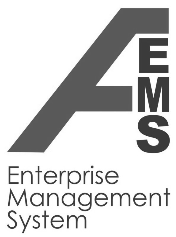 enterprise management system