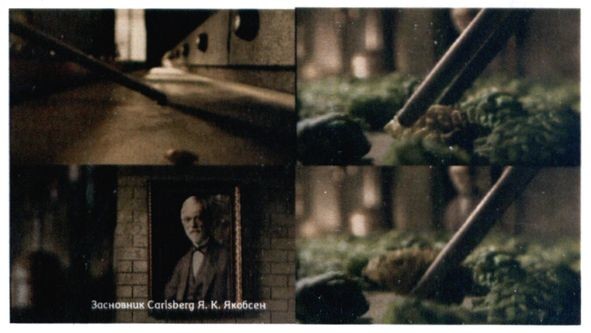 carlsberg r.k.