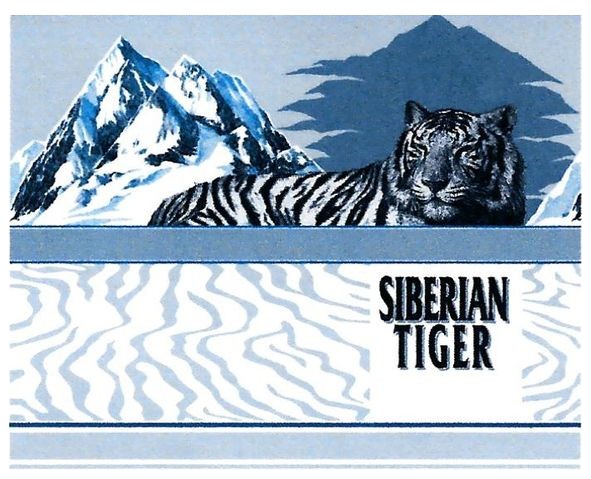 siberian tiger