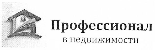 профессионал в недвижимости