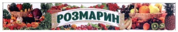 розмарин