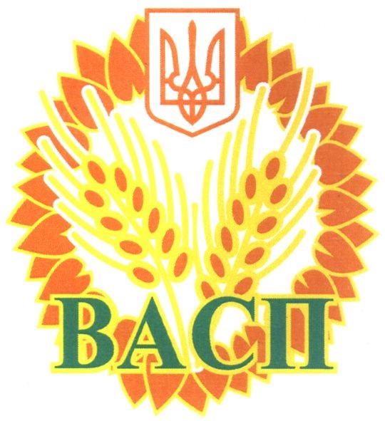 васп