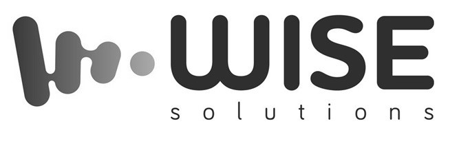 wise solutions
