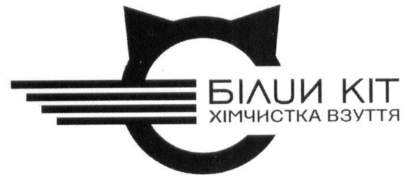 хімчистка взуття