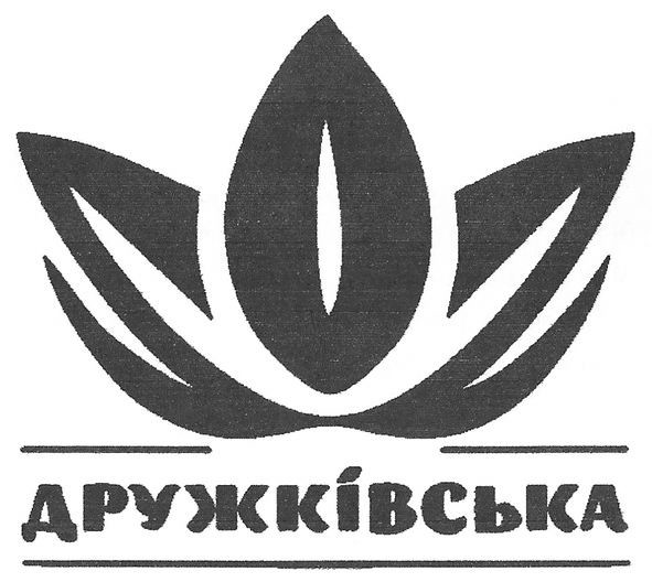 дружківська