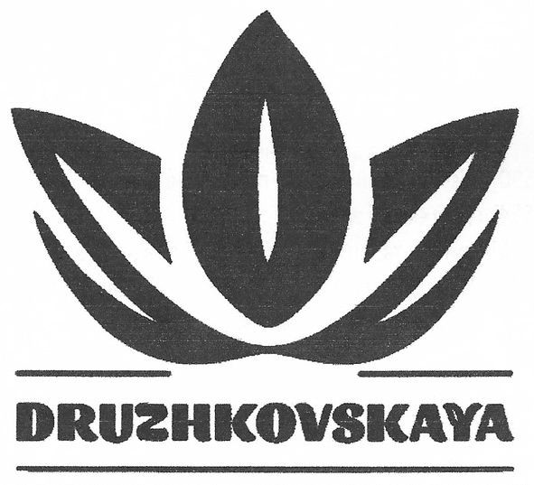 druzhkovskaya