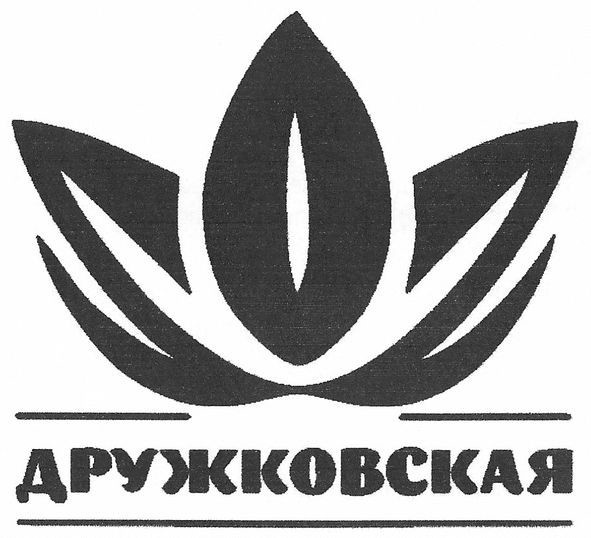 дружковская