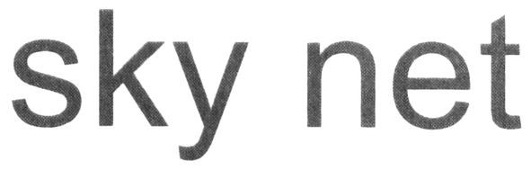 sky net