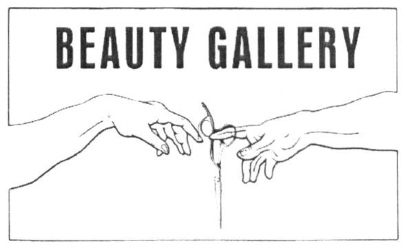 beauty gallery
