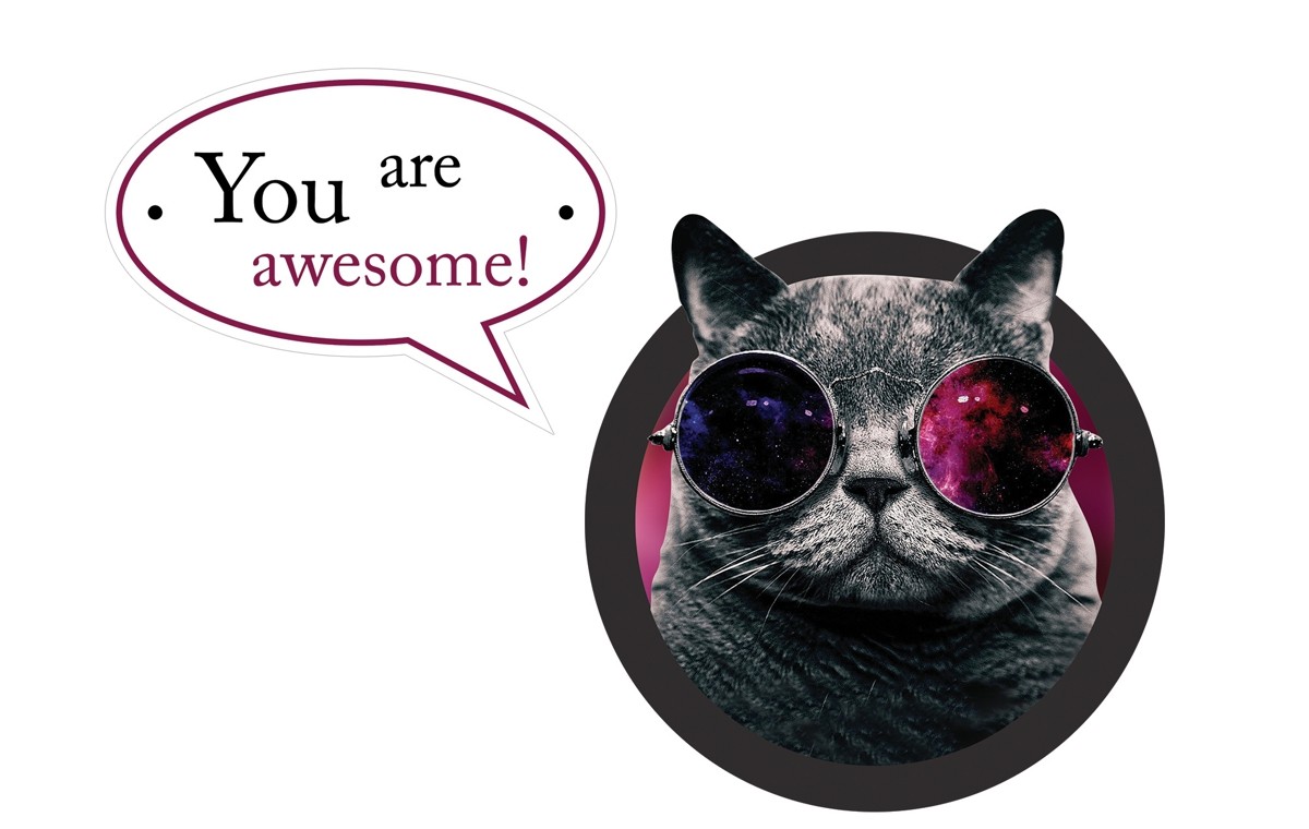 you are awesome!
