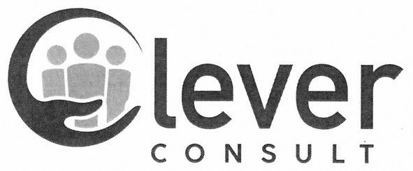lever consult