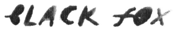 black fox