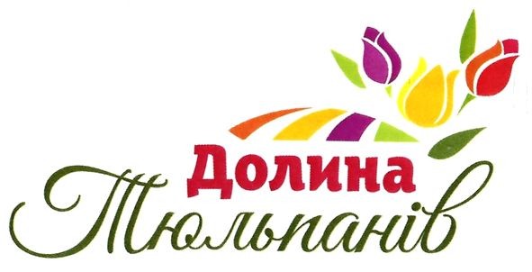 долина тюльпанів