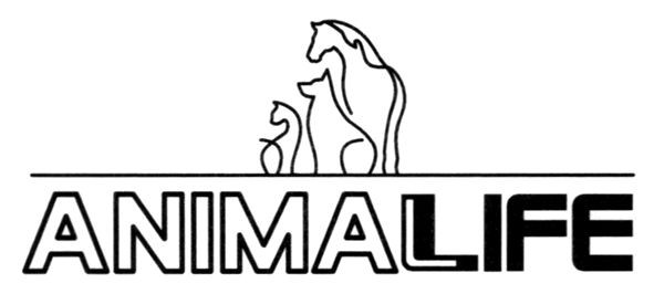 animal life