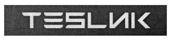 teslик