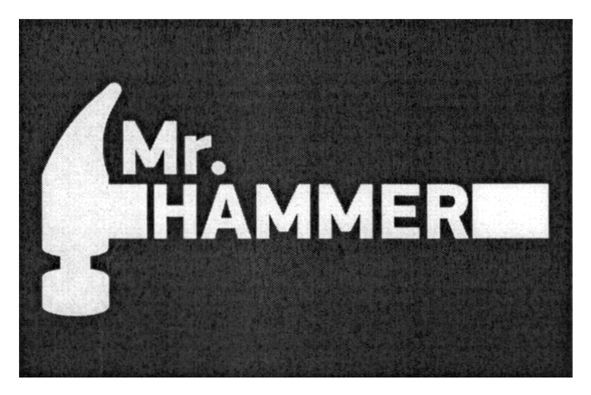 mr.hammer
