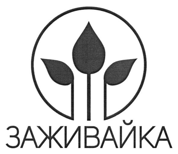 заживайка