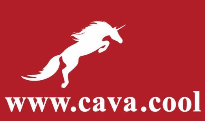 www.cava.cool