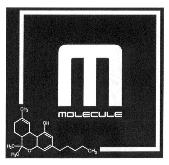 molecule