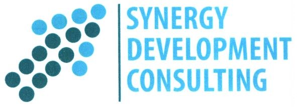 synergy development consulting