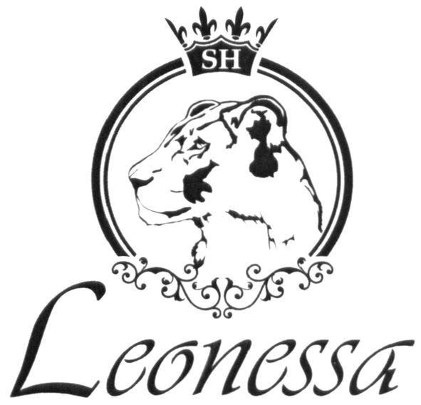 leonessa