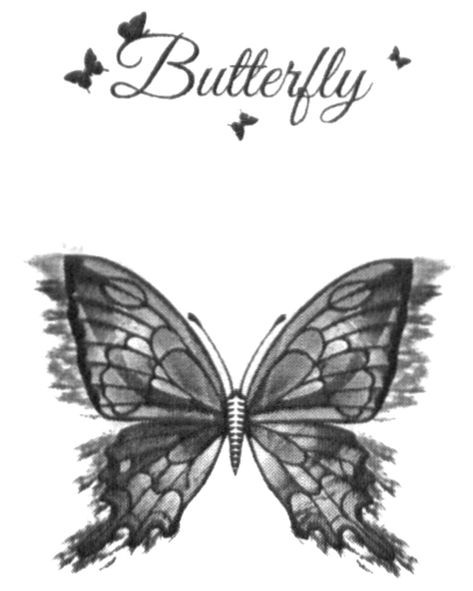 butterfly