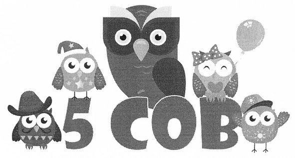 5 сов