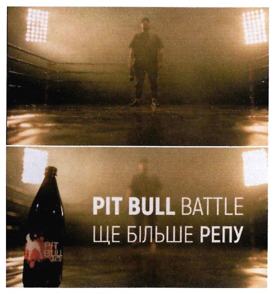 pit bull battle