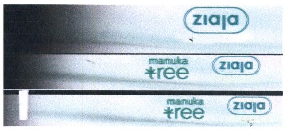 manuka tree
