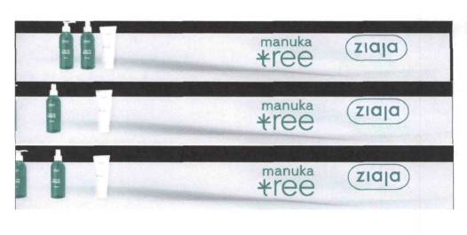 manuka tree