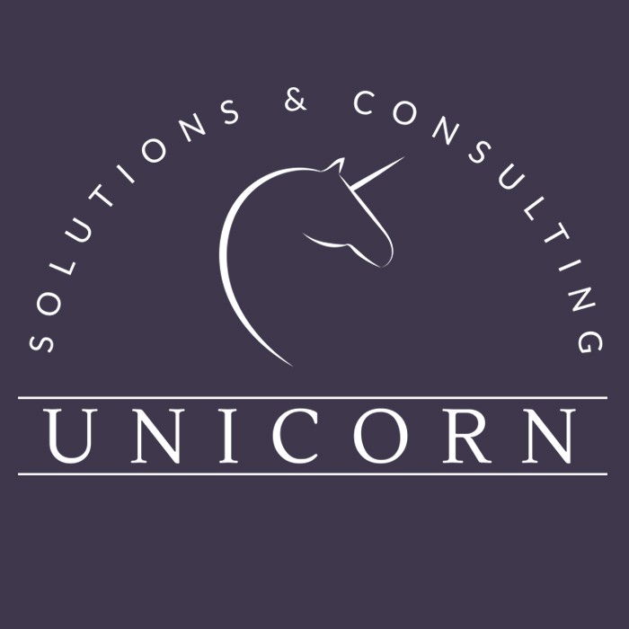 solutions&consulting unicorn