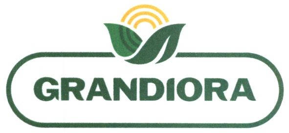 grandiora