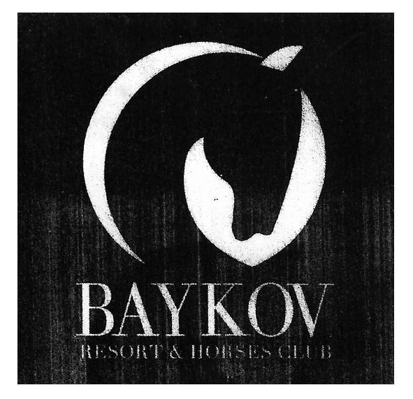 baykov resort&horses club
