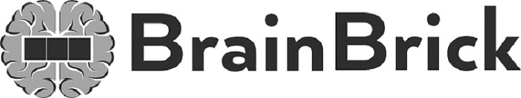 brain brick