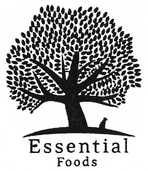 essential foods