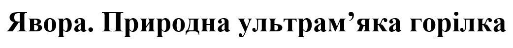 явора. природна ультрам'яка горілка