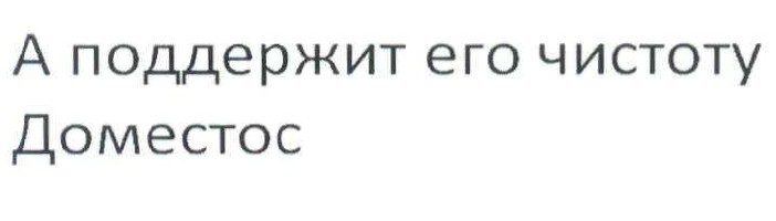 а поддержит его чистоту доместос