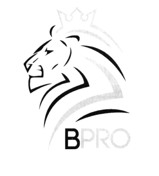 b pro