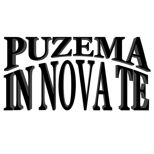 puzema innovate