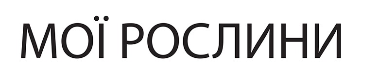 мої рослини