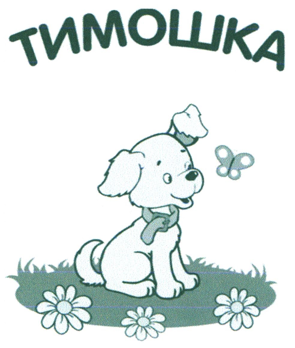 тимошка